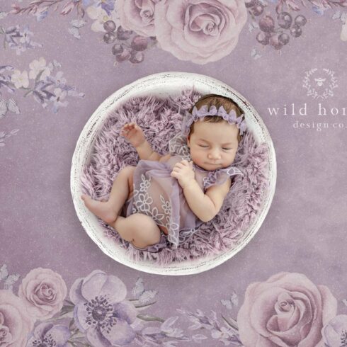 Purple Newborn Digital Backdropcover image.