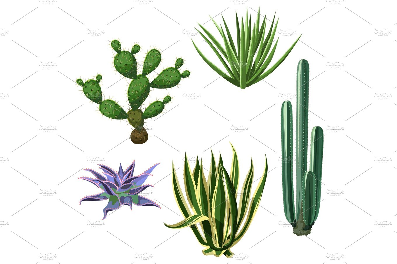 Group of different types of plants.