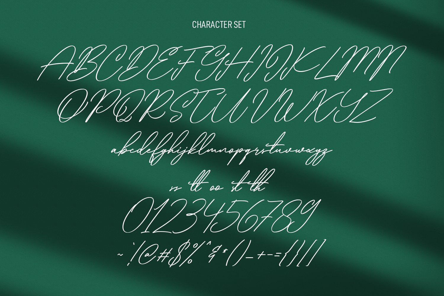 qualyters script font preview 8 901