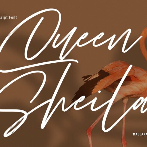 Queen Sheila Signature Script Font cover image.