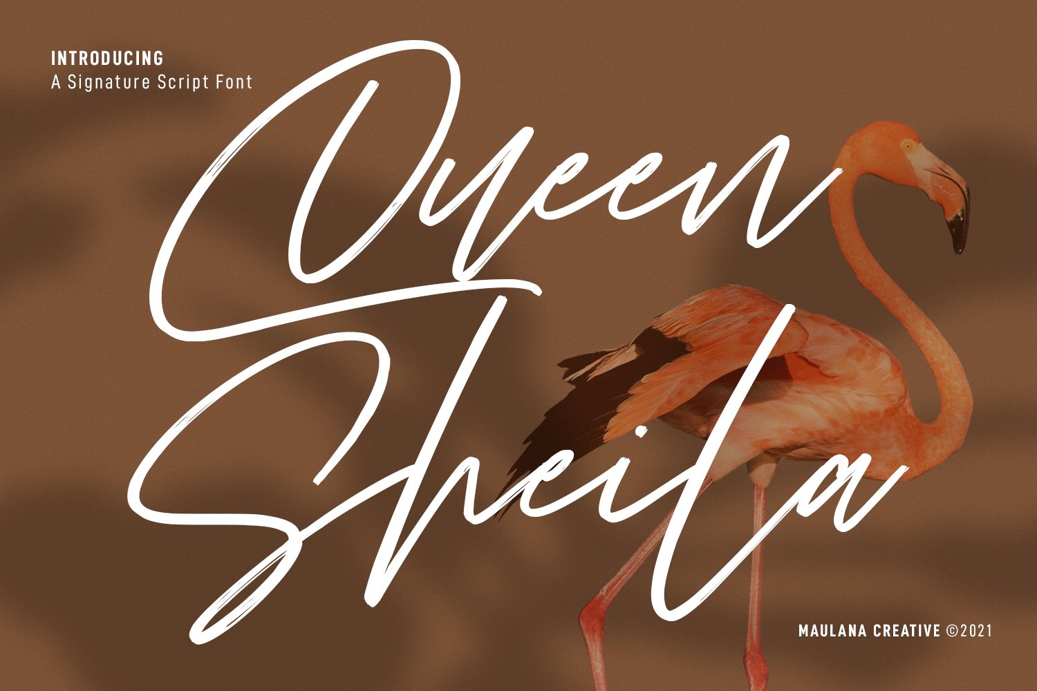 Queen Sheila Signature Script Font cover image.