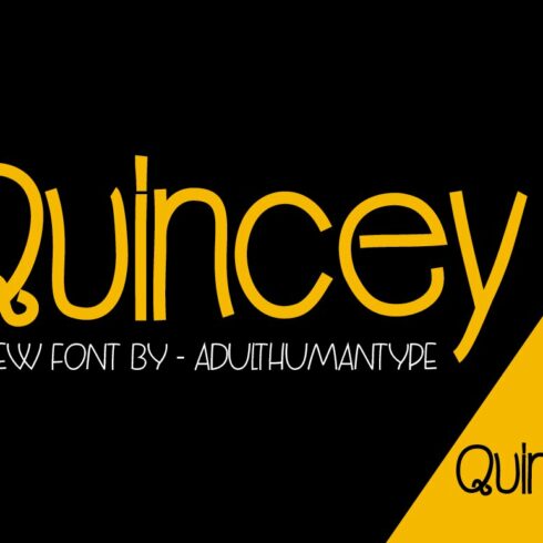 Quincey Family cover image.