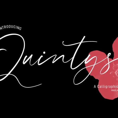 Quintys Calligraphy Script Font cover image.