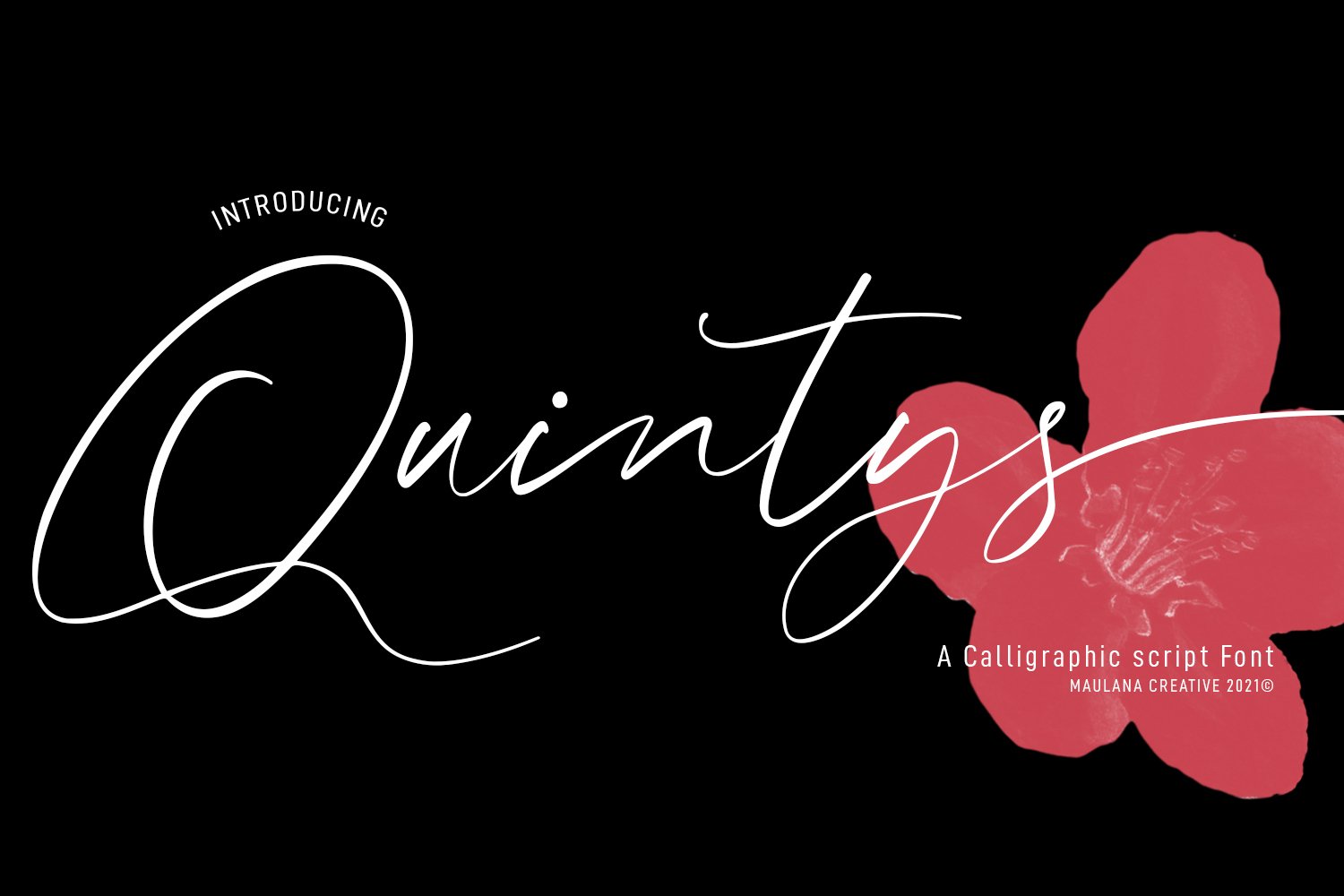 Quintys Calligraphy Script Font cover image.