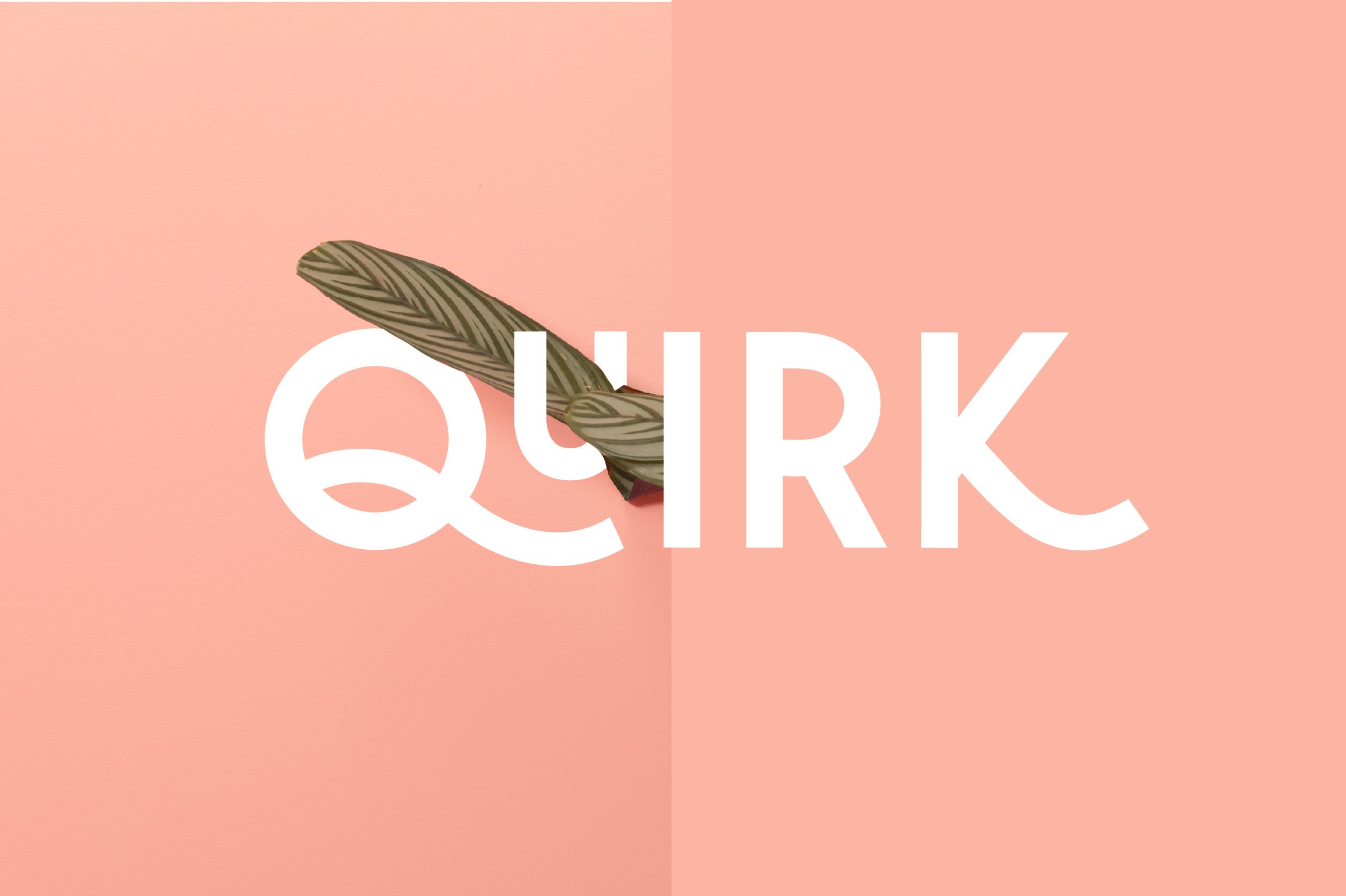 Quirk - Fun Display Font cover image.