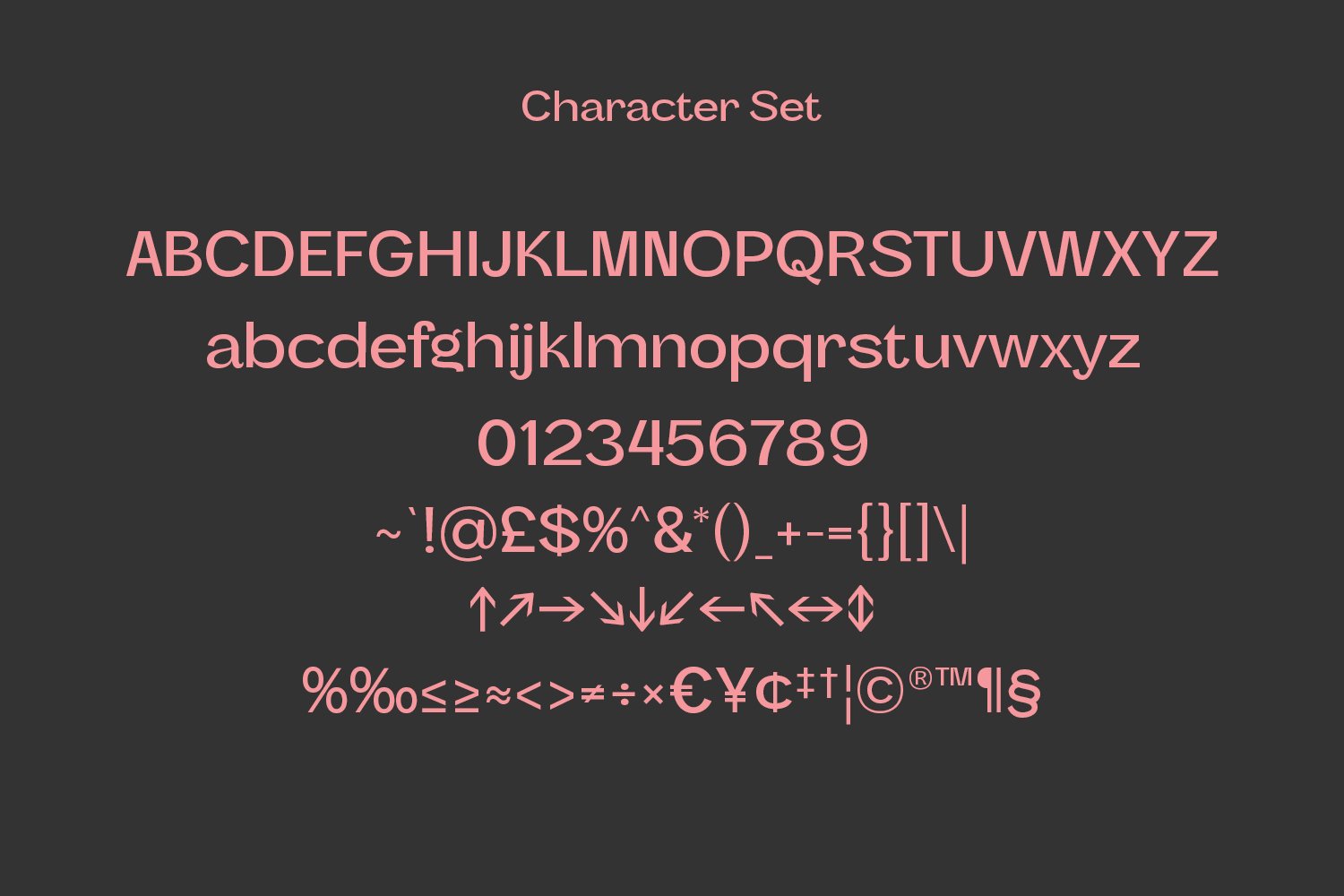 raftera clean modern sans serif font 7 422