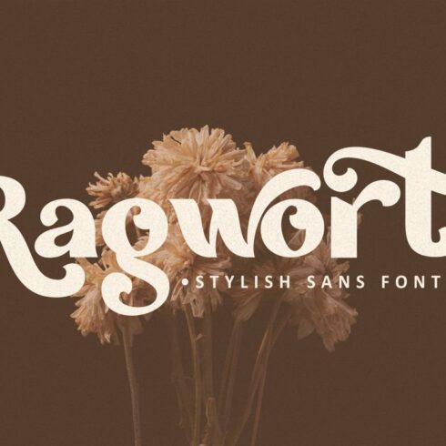 Ragwort - Stylish Sans Font cover image.