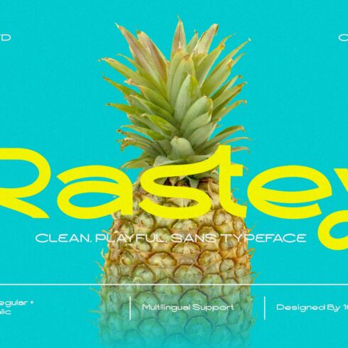 Rastey | Clean Modern Playful Sans cover image.