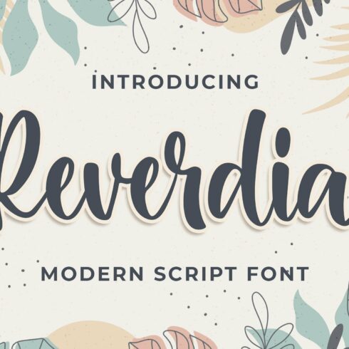 Raverdia Modern Script Font cover image.