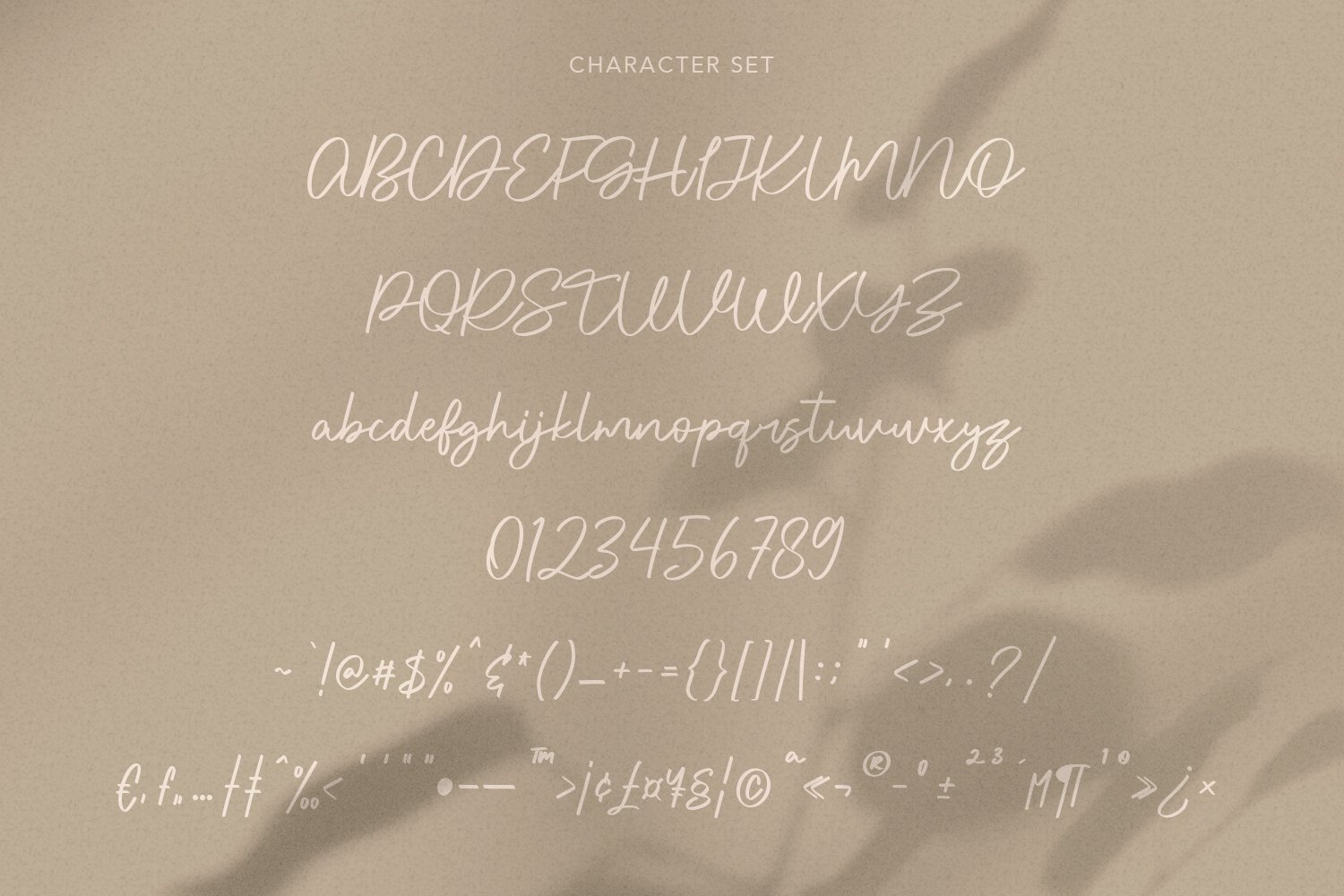 rawks dream handwritten script font10 776