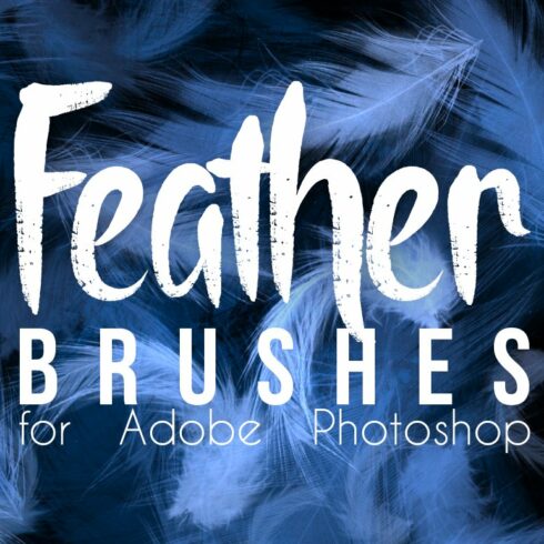 Real Feather Photoshop Brushescover image.
