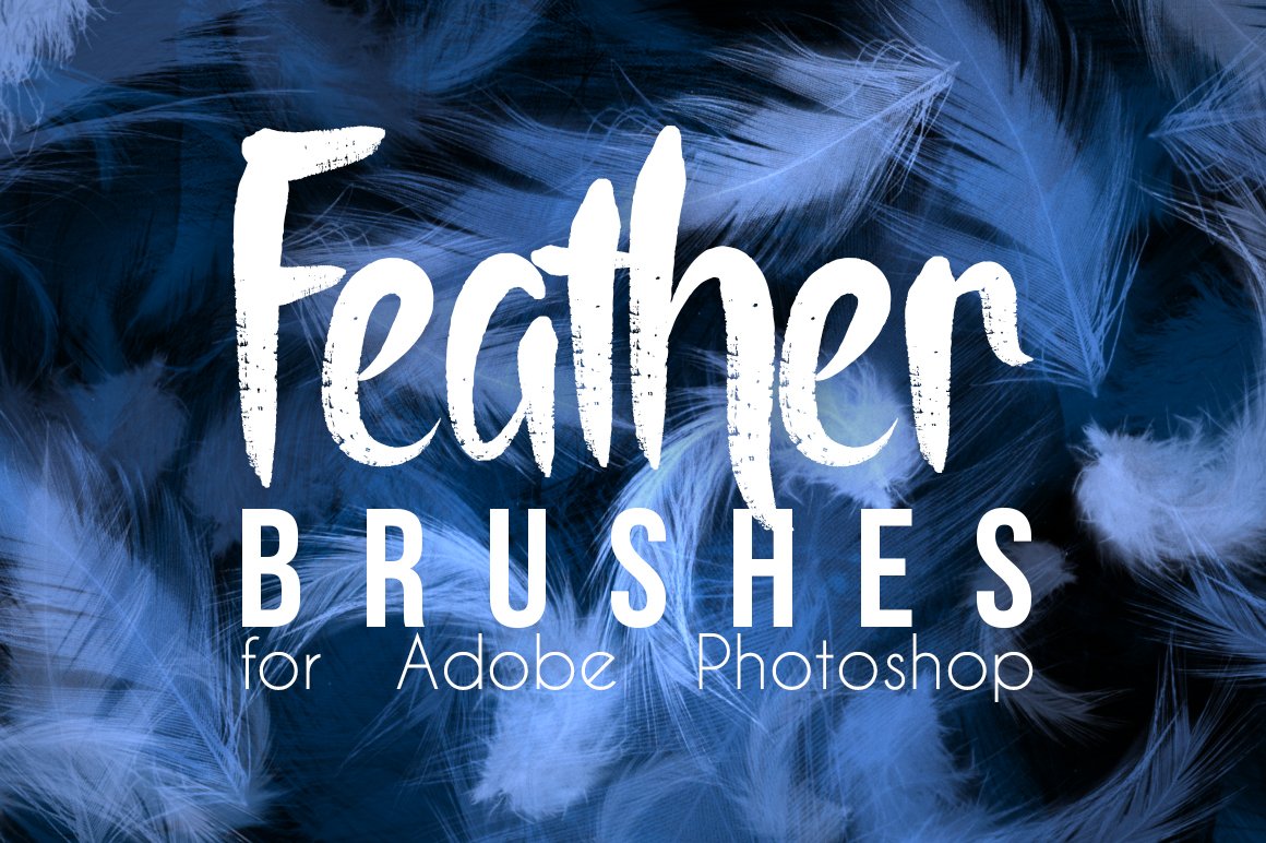 Real Feather Photoshop Brushescover image.