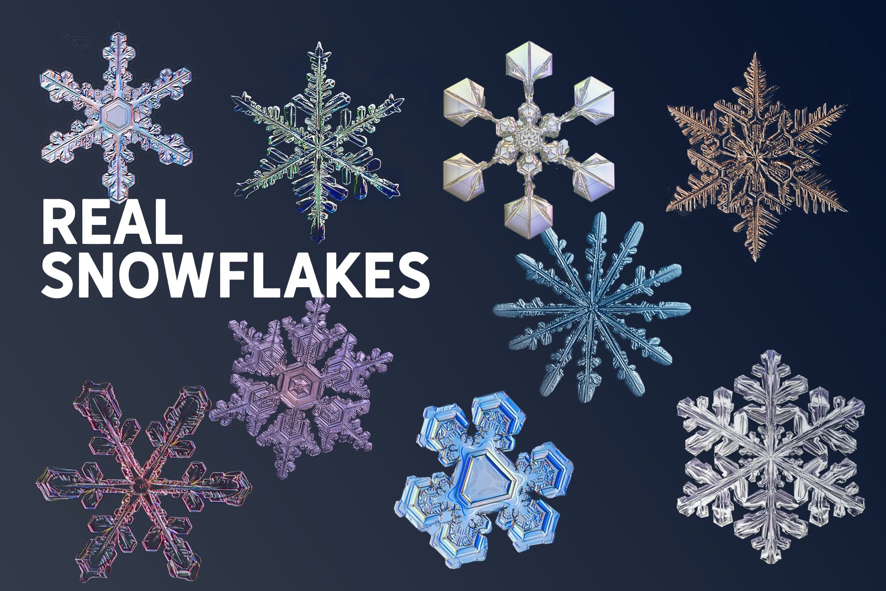 real snowflakes 189