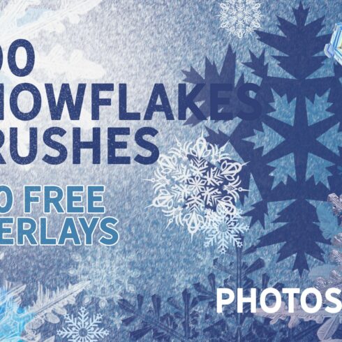 SNOWFLAKES BRUSHES & FREE OVERLAYScover image.