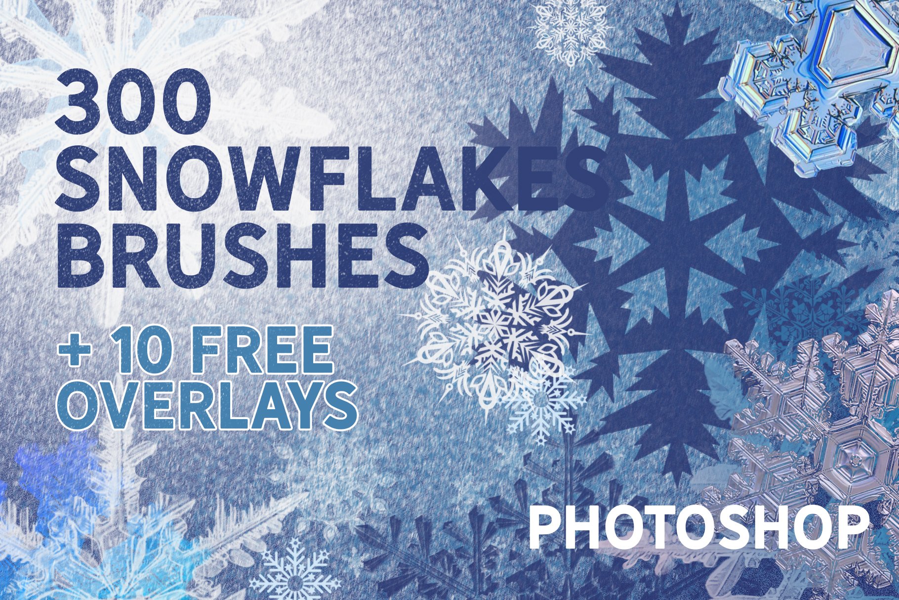 SNOWFLAKES BRUSHES & FREE OVERLAYScover image.
