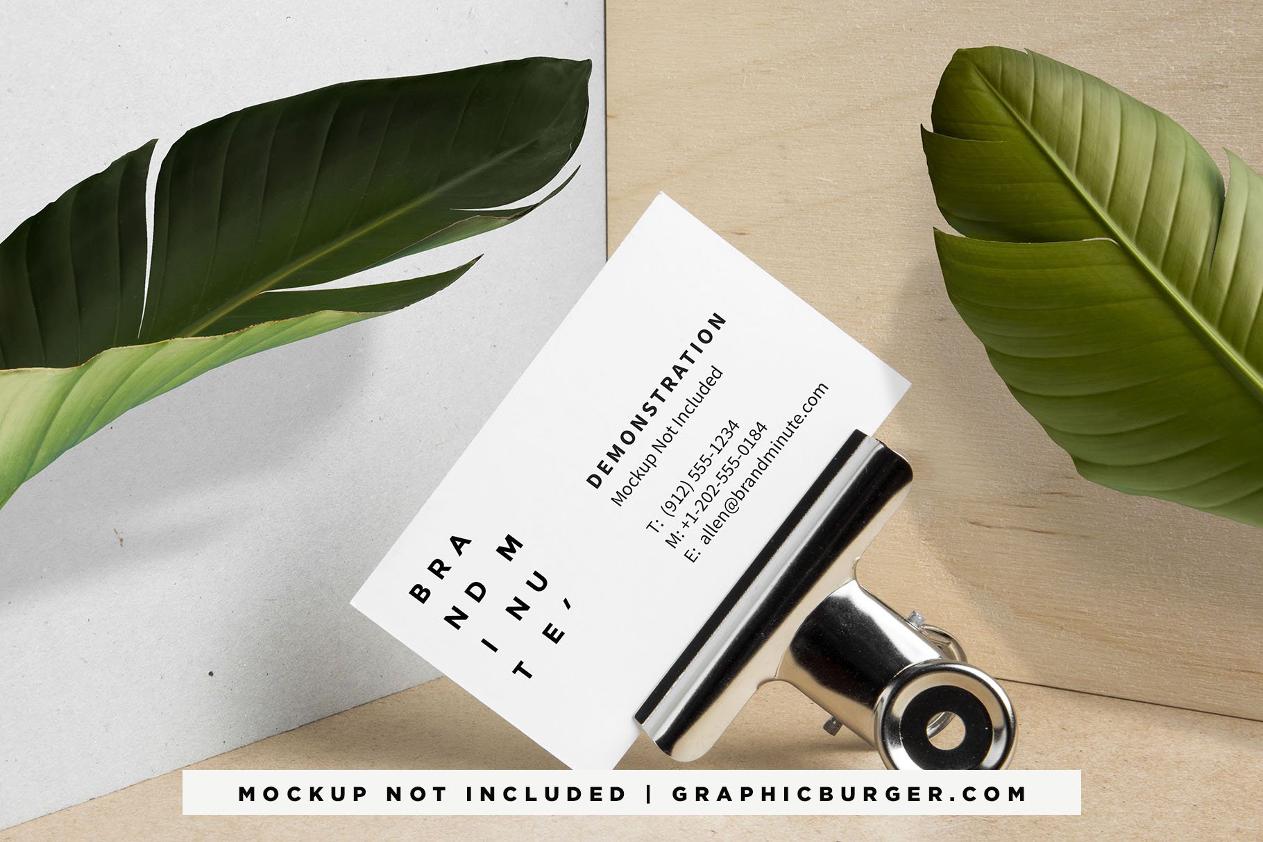 Close up of a business card near a plant.
