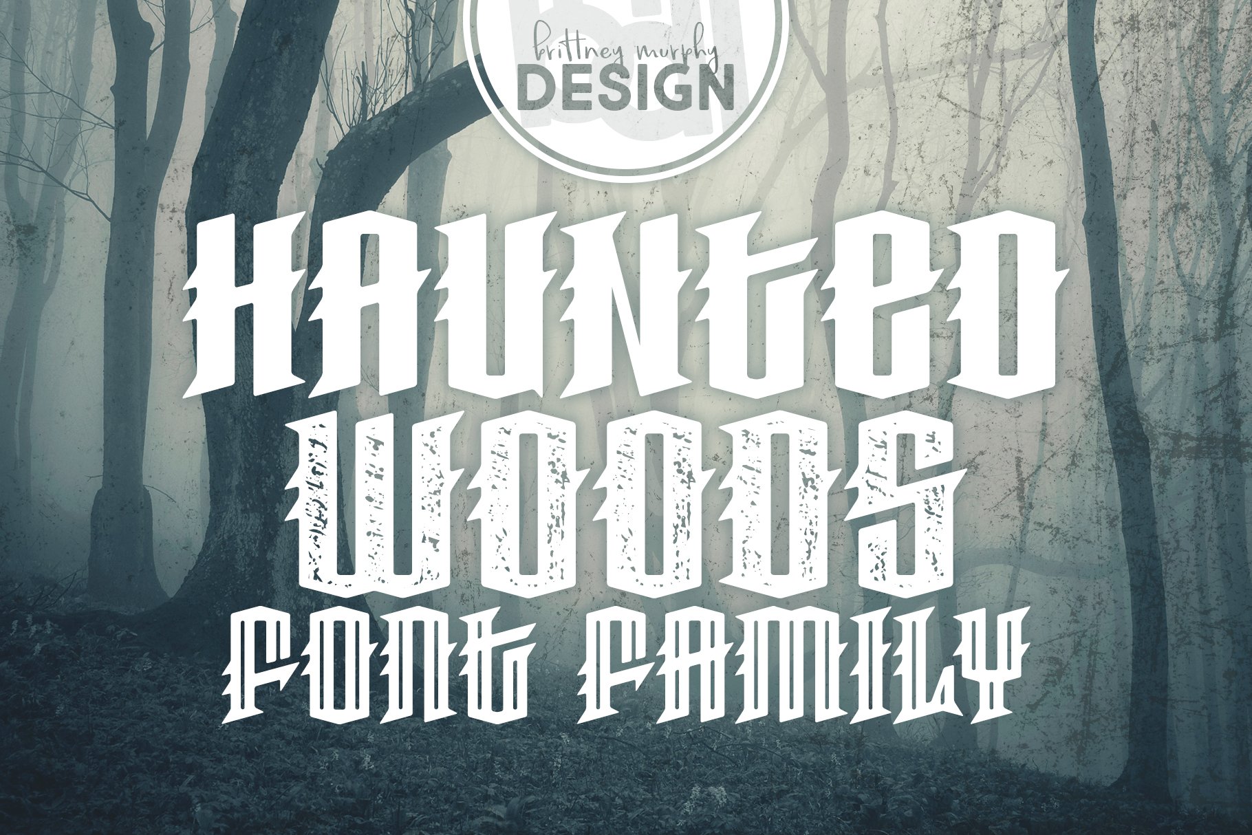 Haunted Woods cover image.