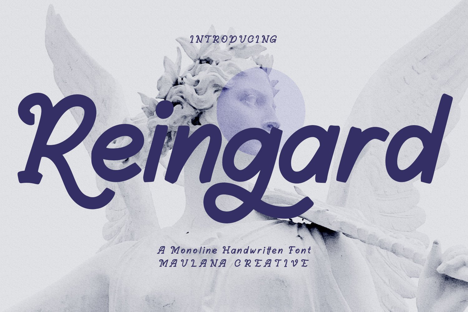 Reingard Display Font cover image.