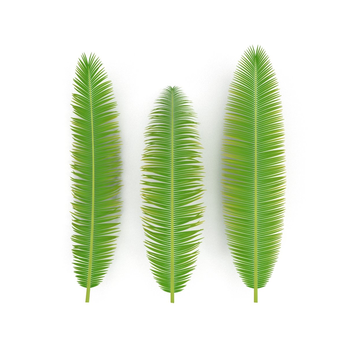 Palm branch preview image.