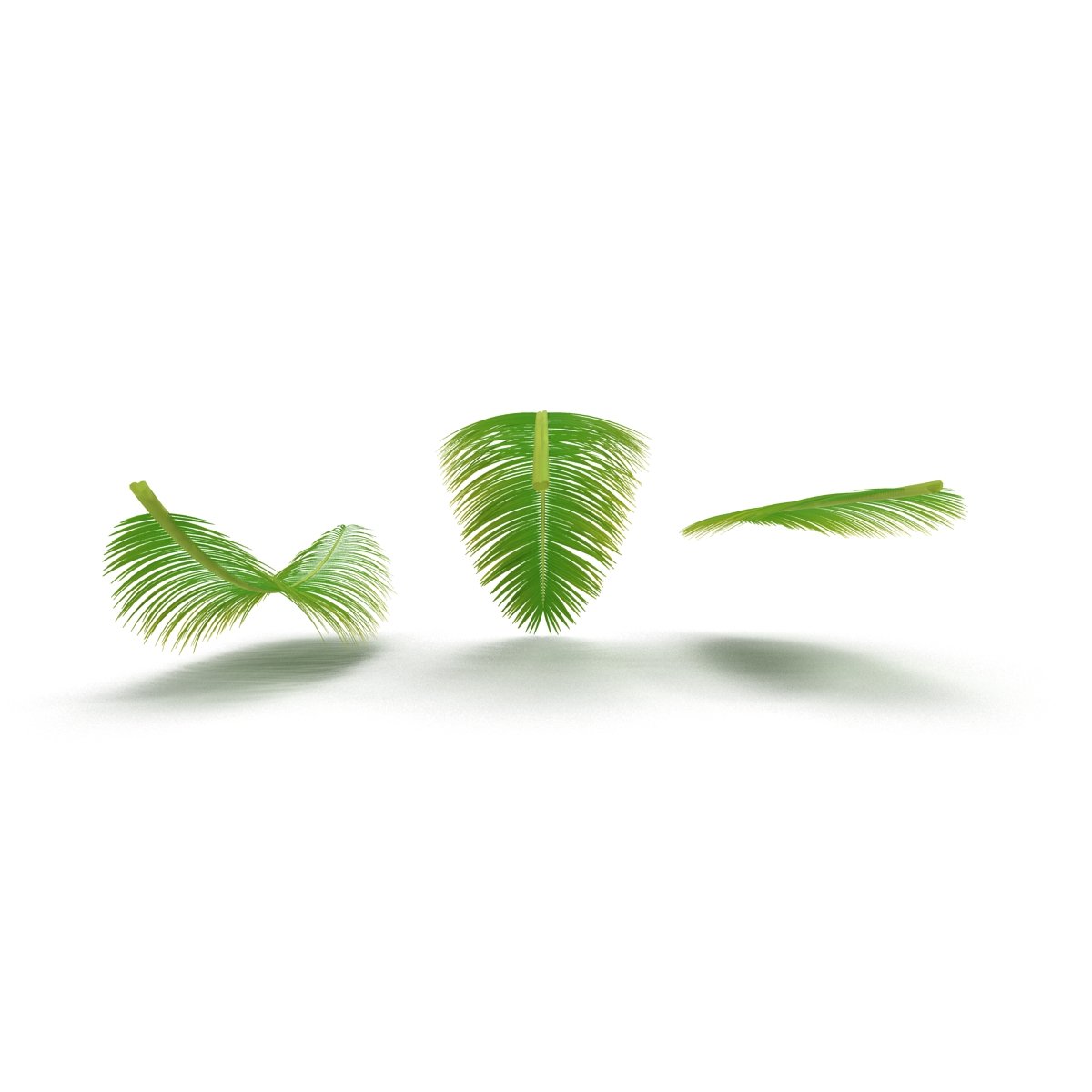 Group of three green leaves on a white background.