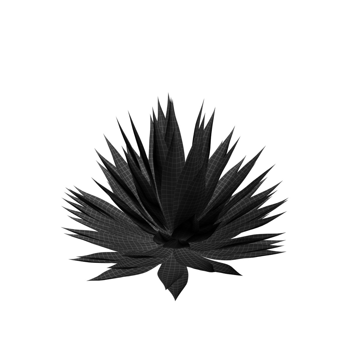 Black and white photo of a flower on a white background.