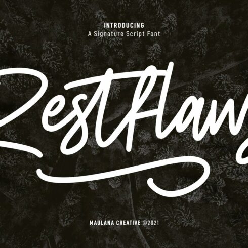 Restfaws Signature Script Font cover image.