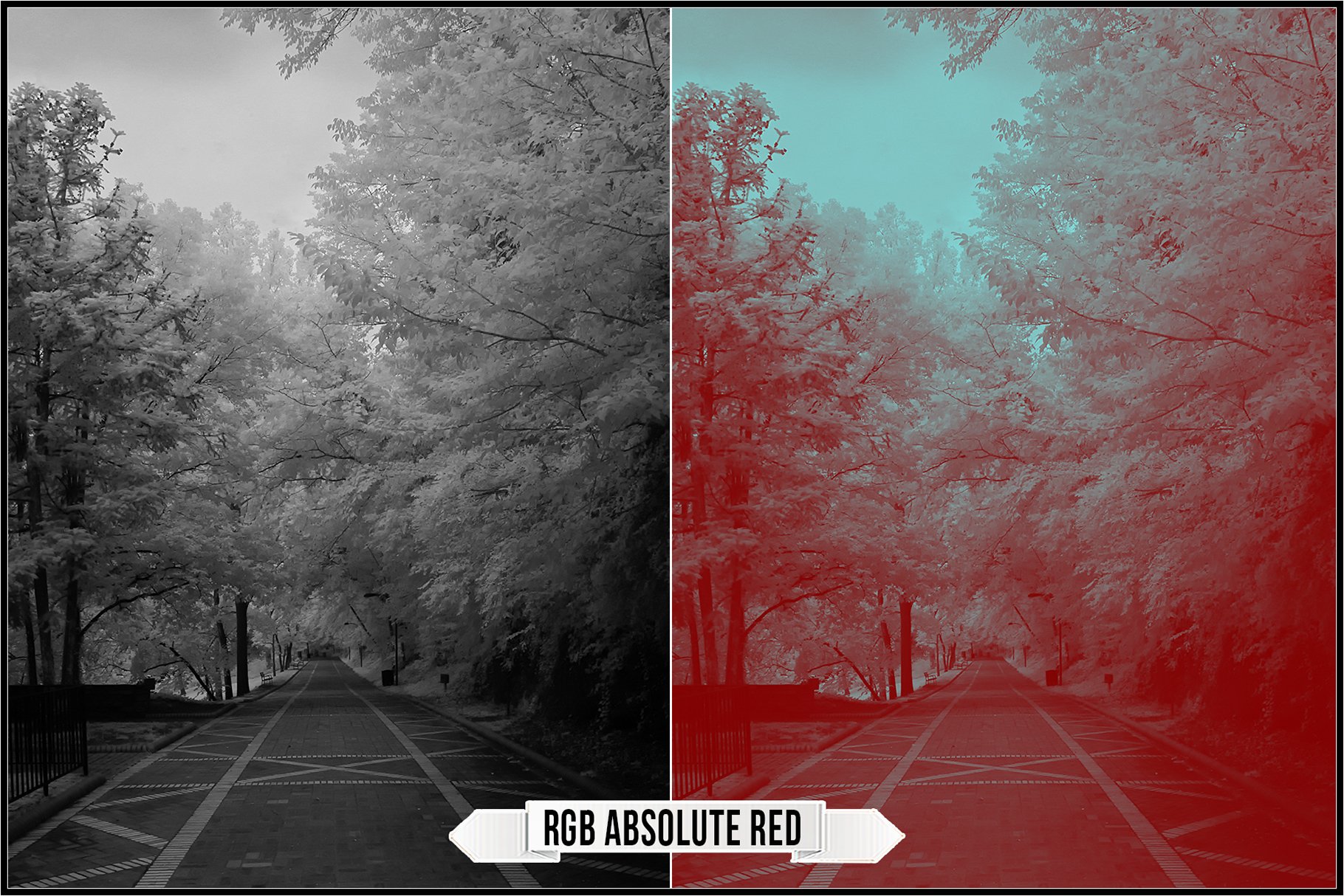 rgb absolute red 595