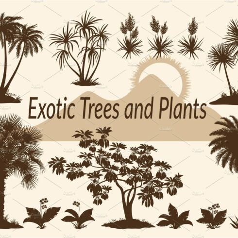 Collection of exotic trees and plants.