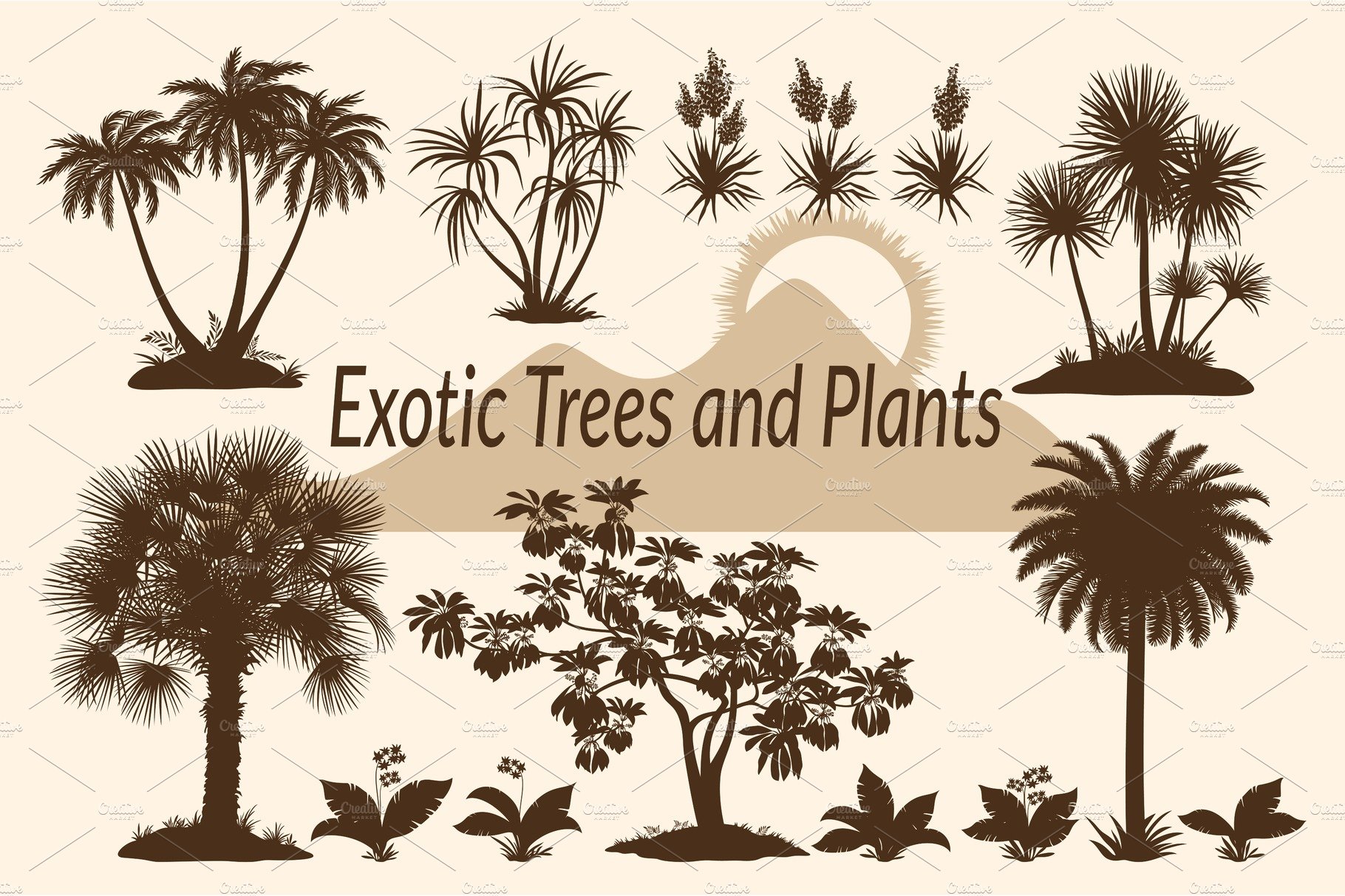 Collection of exotic trees and plants.