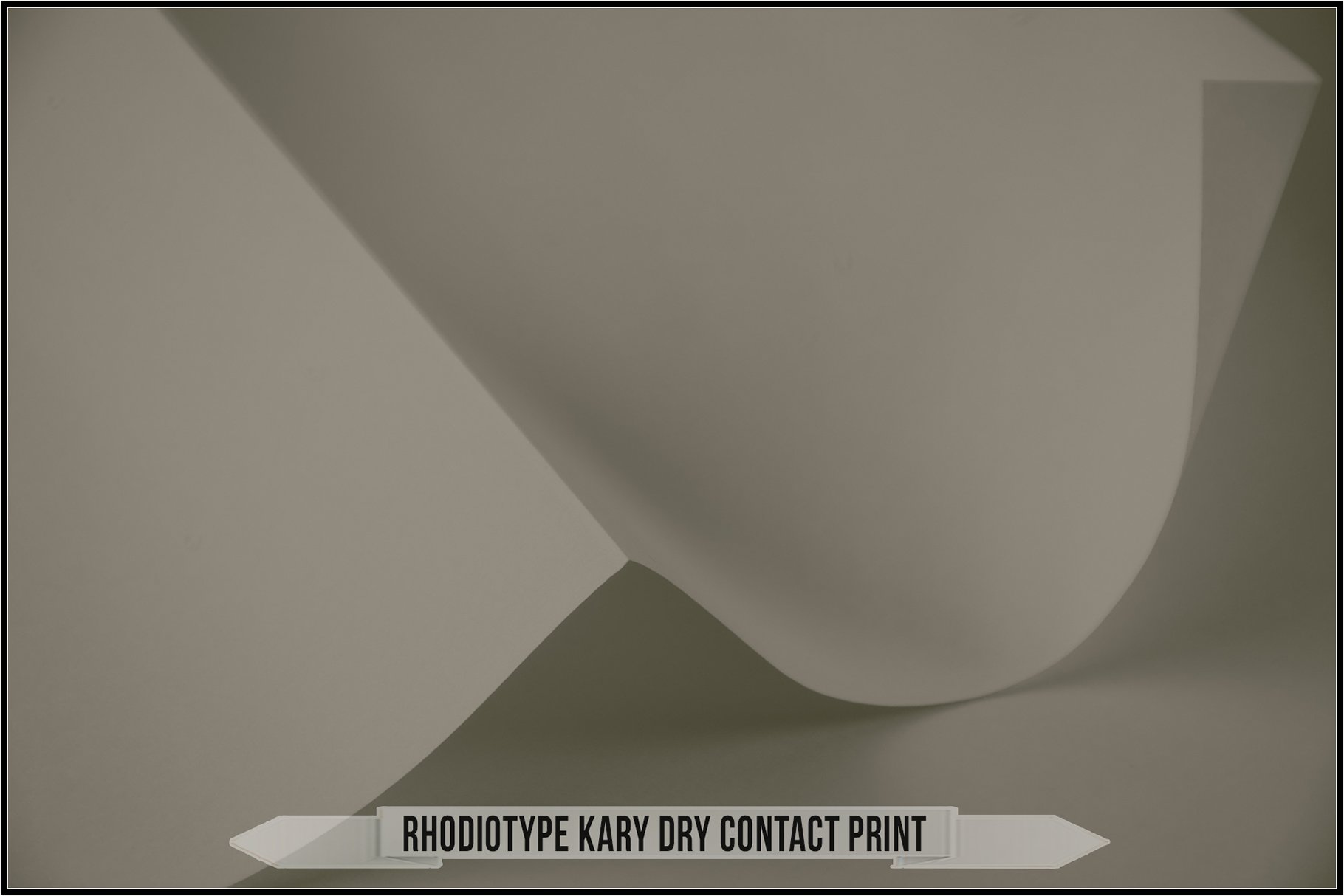 rhodiotype kary dry contact print 306