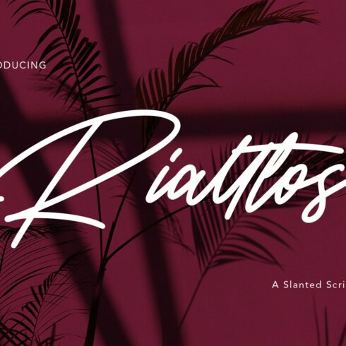 Rialltos Slanted Script Font cover image.