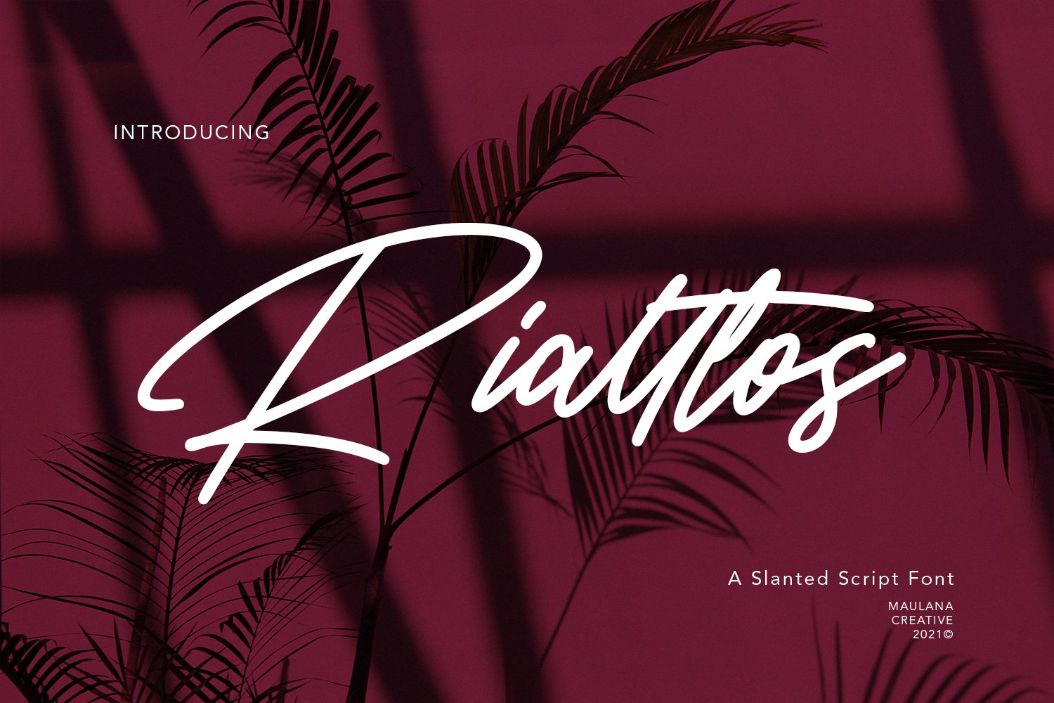 Rialltos Slanted Script Font cover image.