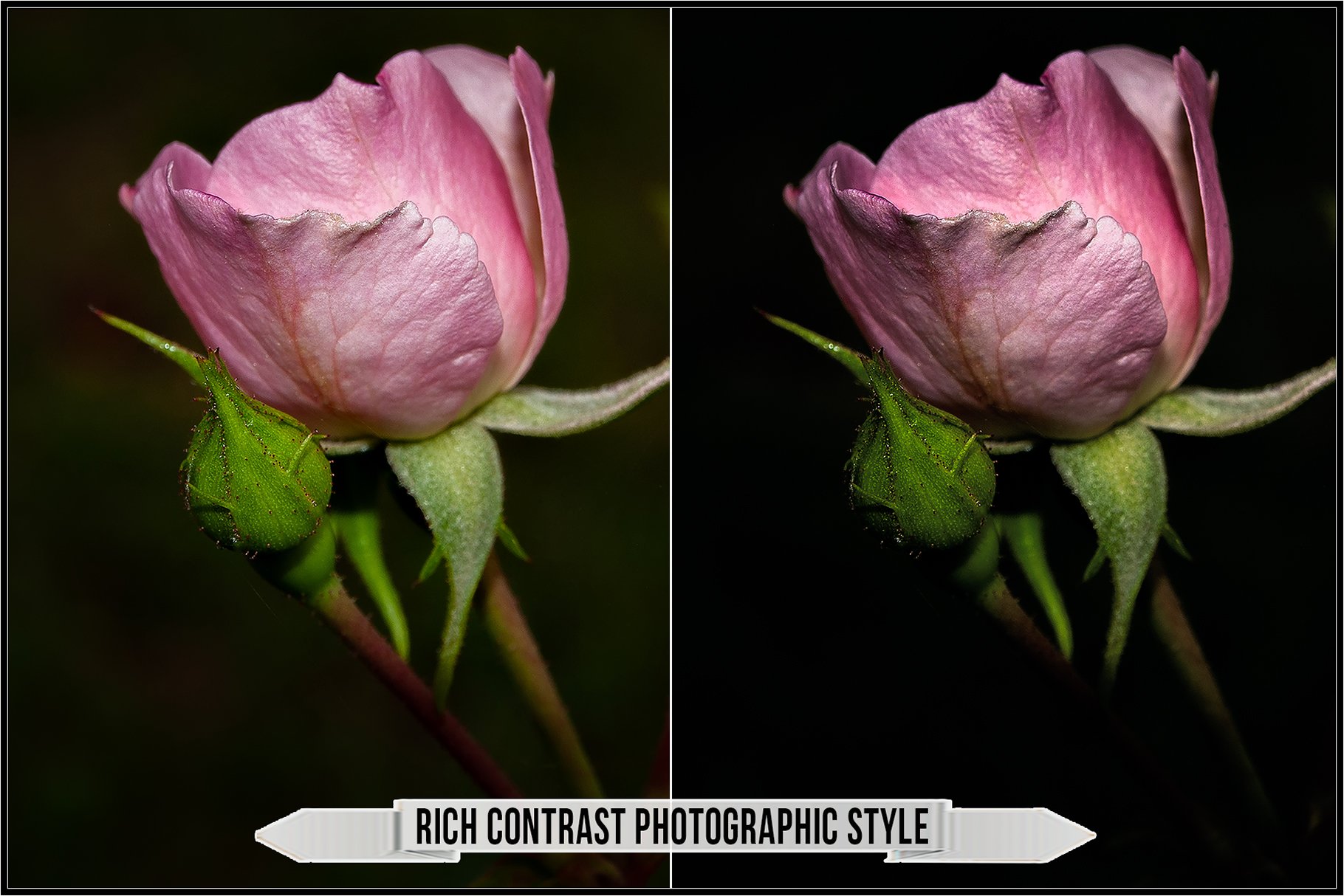 rich contrast photographic style 786