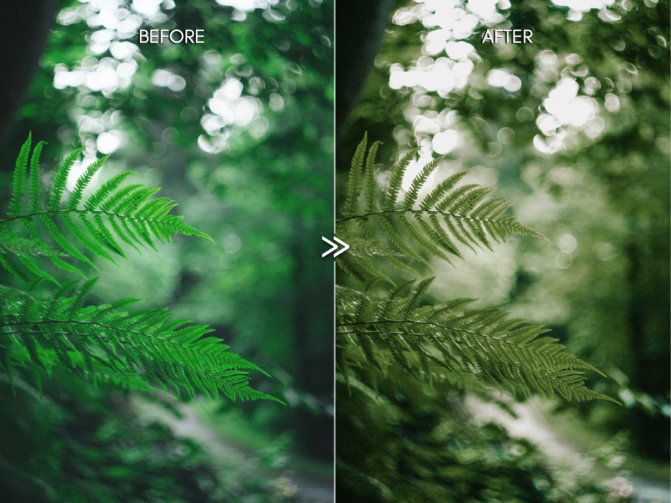 rich greens natural outdoor moody tones vsco film lightroom presets 7 137