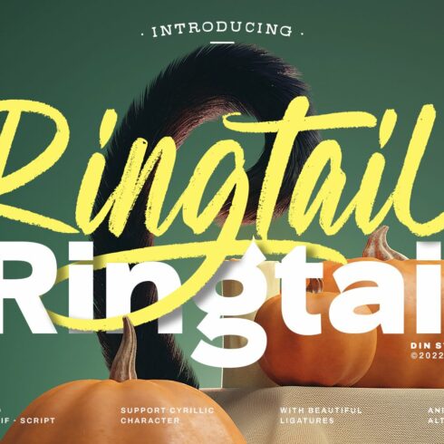 Ringtailcover image.