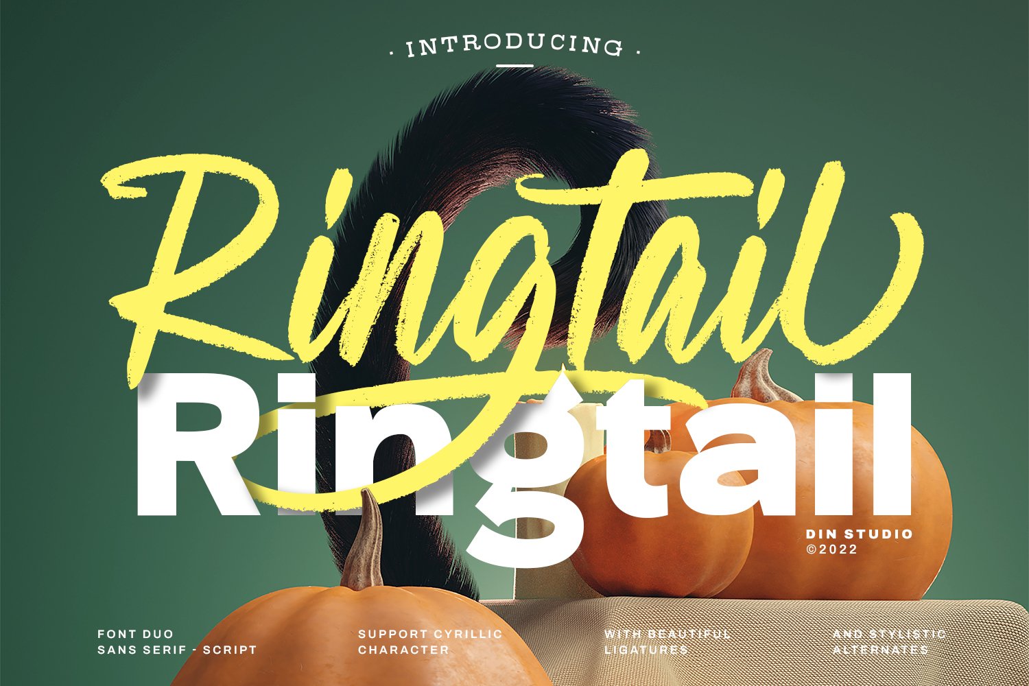 Ringtailcover image.