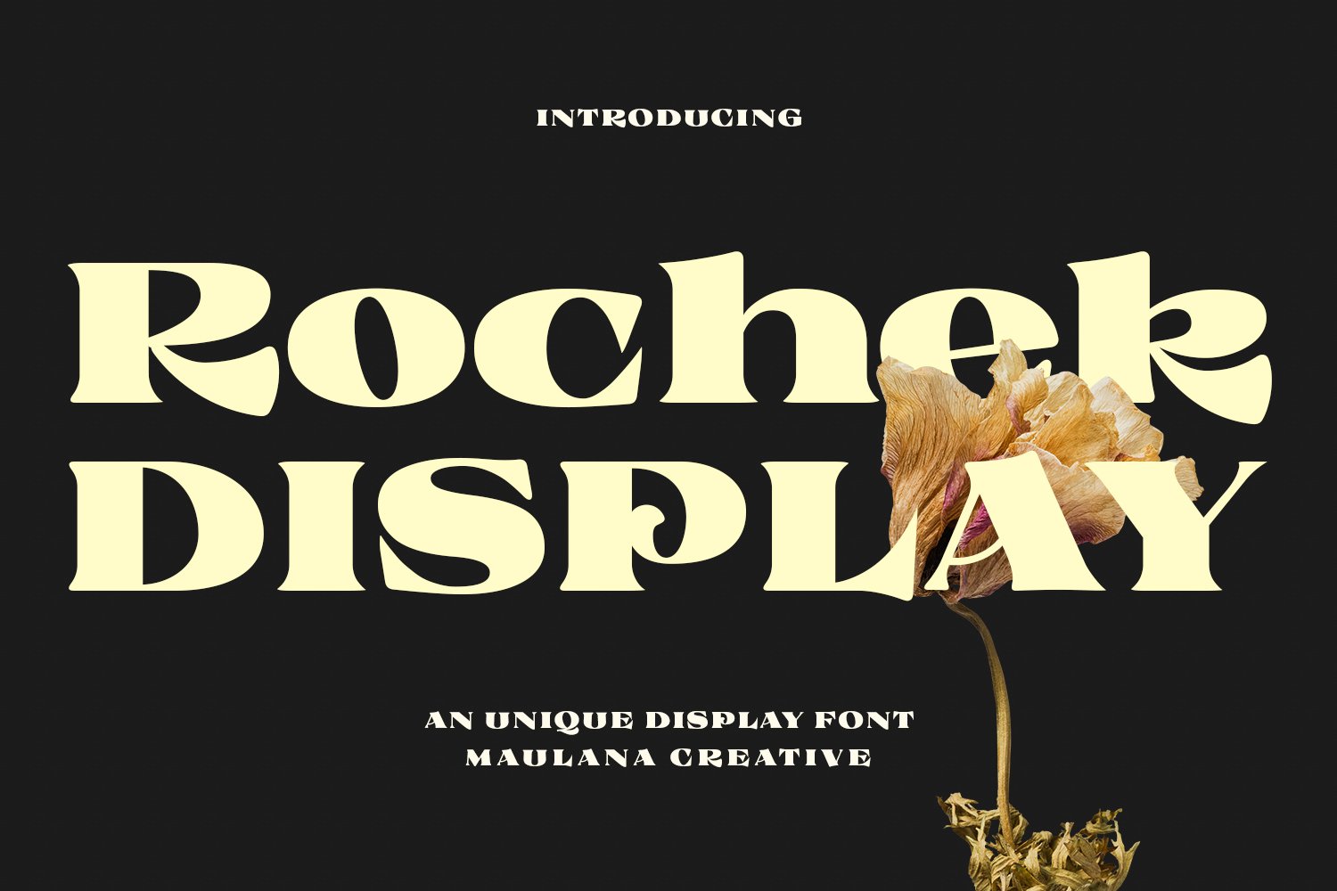 Rochek Vintage Serif Display Font cover image.