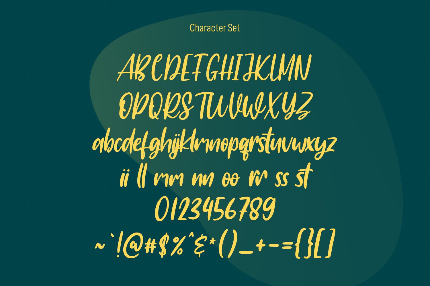 rookys handwritten script font 8 740