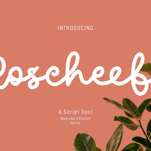 Roscheefs Script Font cover image.