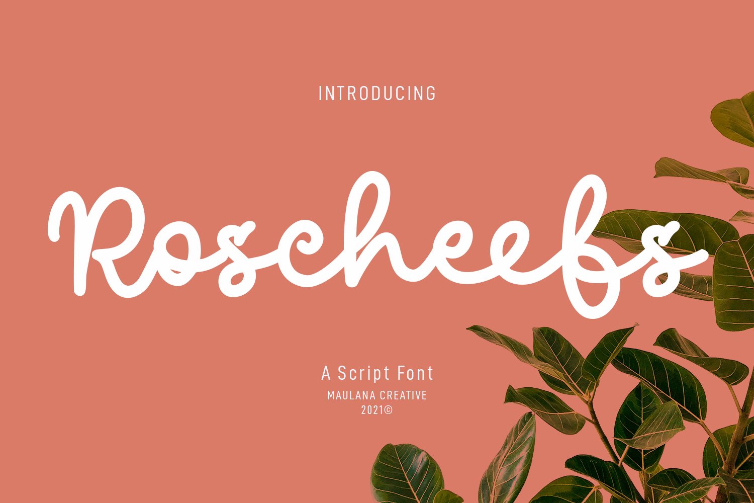 Roscheefs Script Font cover image.