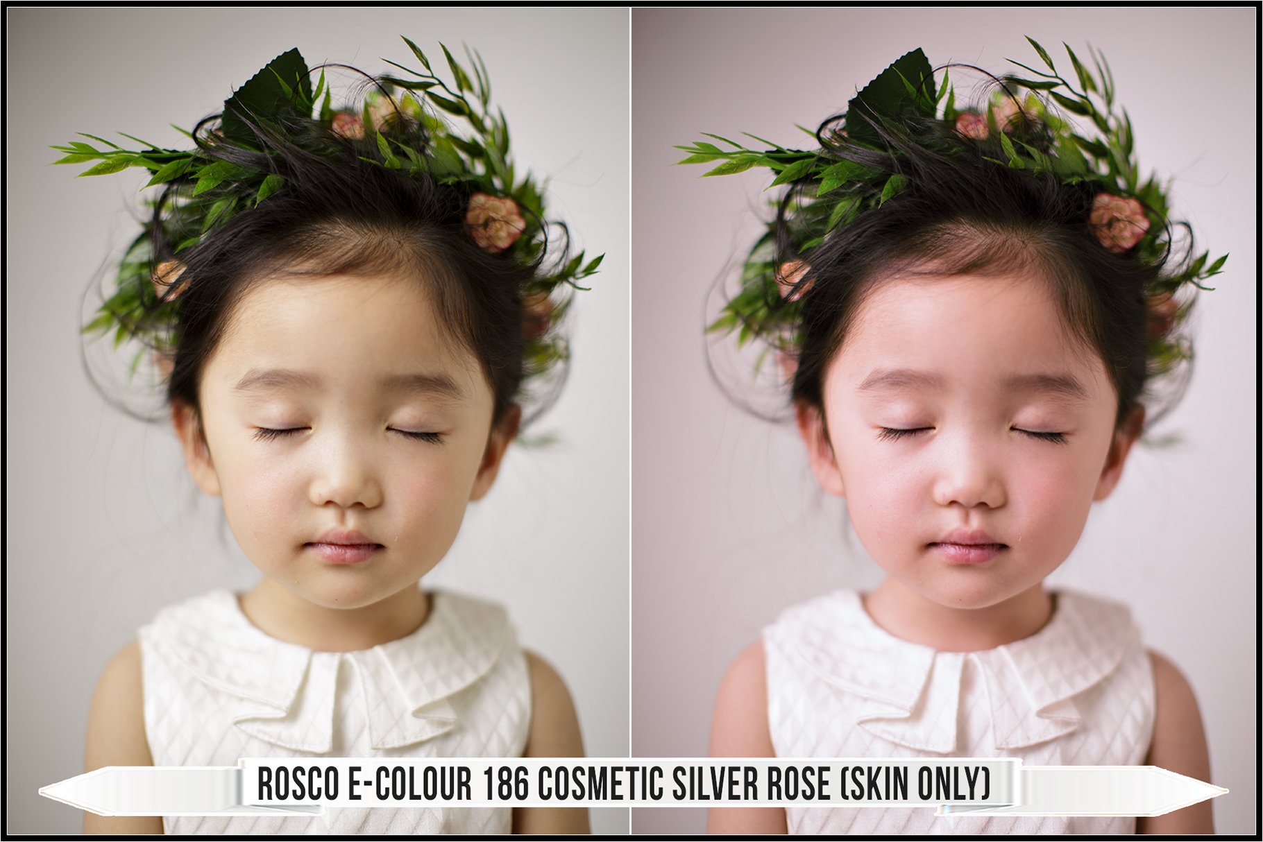 rosco e colour 186 cosmetic silver rose 28skin only29 676