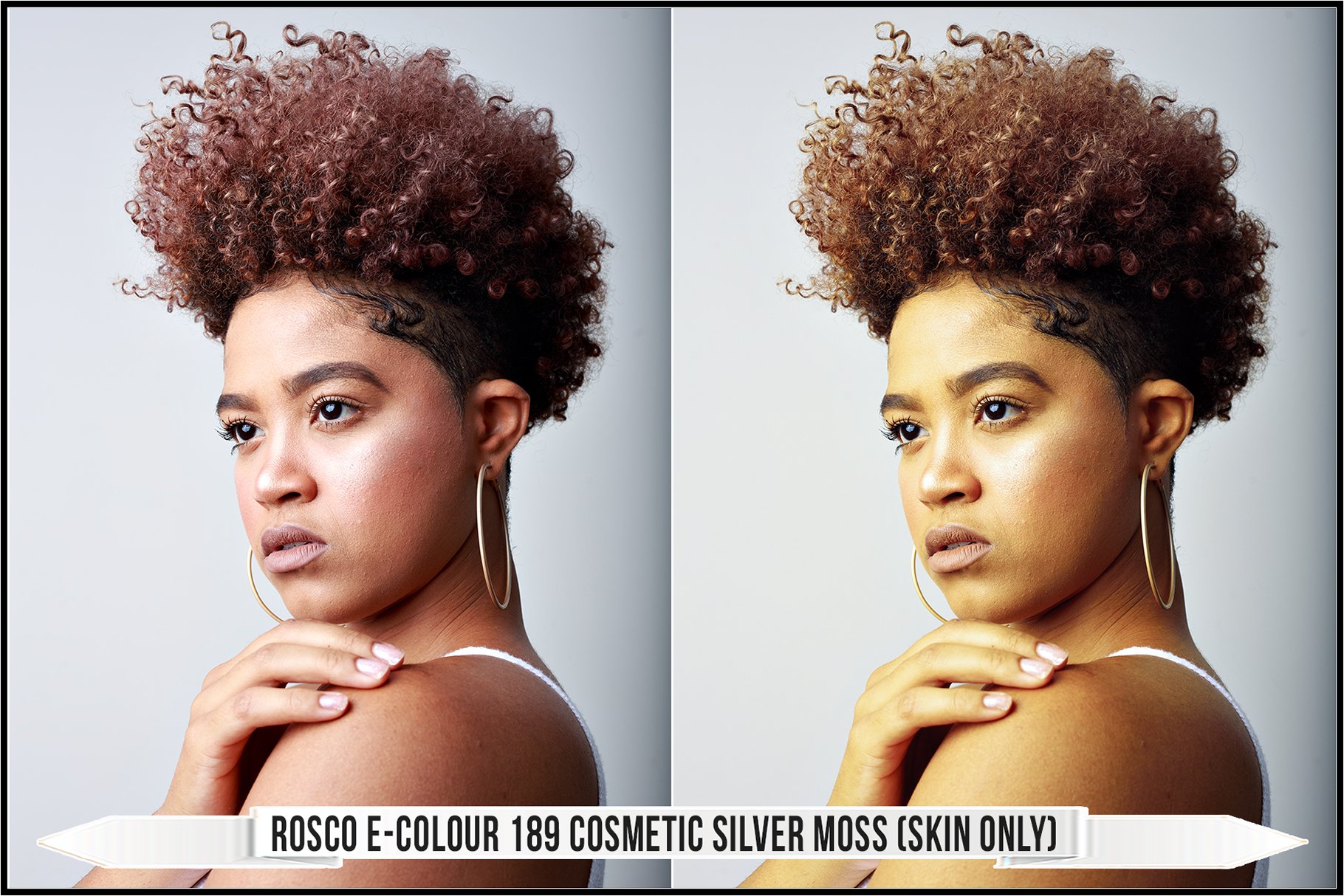 rosco e colour 189 cosmetic silver moss 28skin only29 288