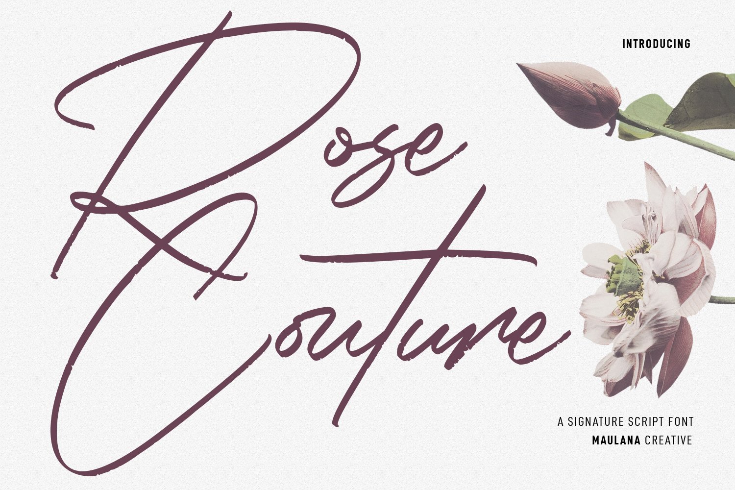 Rose Couture Signature Font cover image.