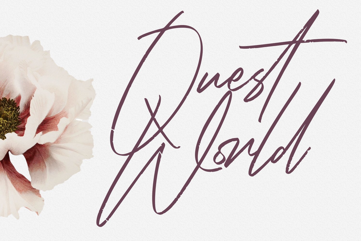 Rose Couture Signature Font preview image.