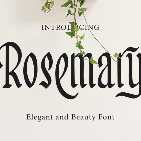 Rosemary - Elegant And Beauty Font cover image.