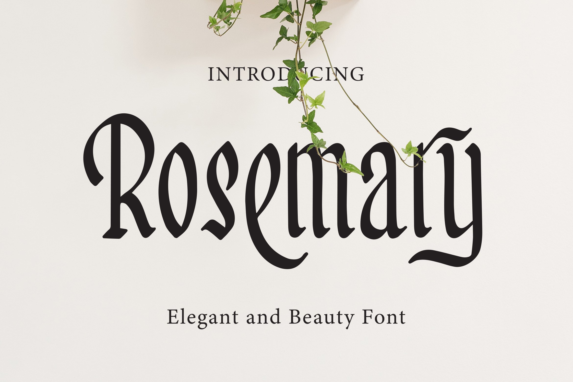 Rosemary - Elegant And Beauty Font cover image.