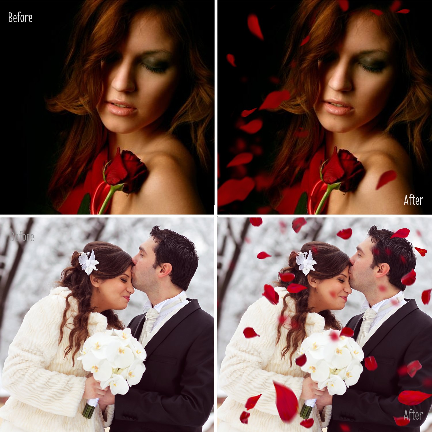 30 Falling Rose Petals Photo Overlaypreview image.