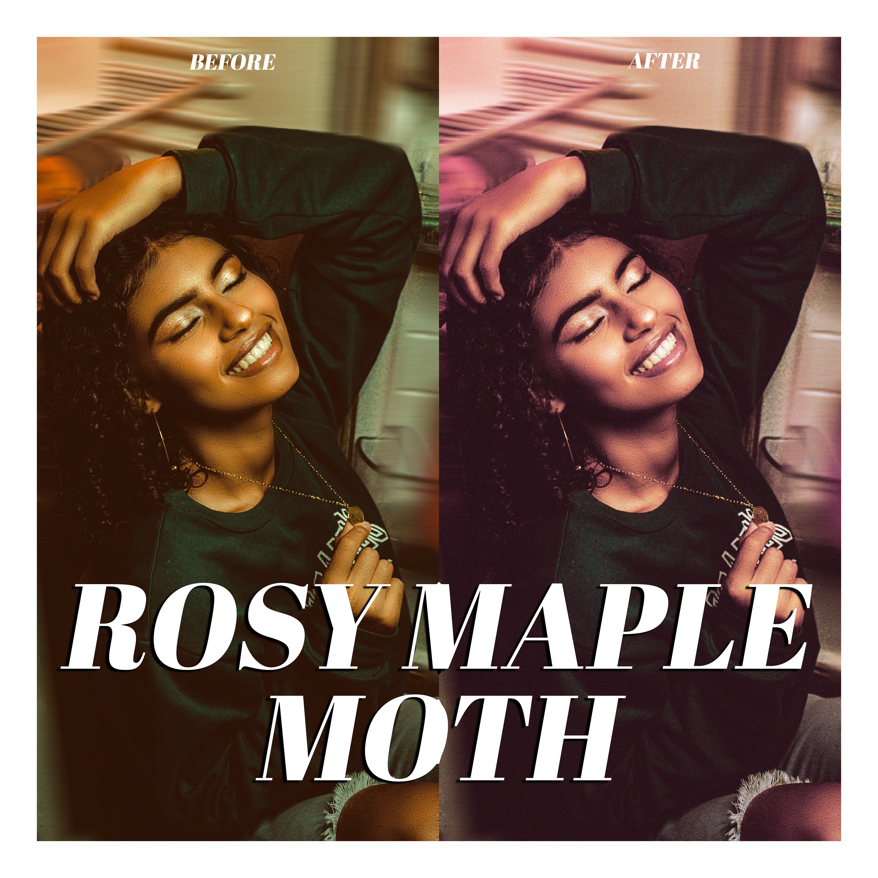 rosy maple moth preview 964