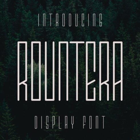 A font that is in the middle of a forest.