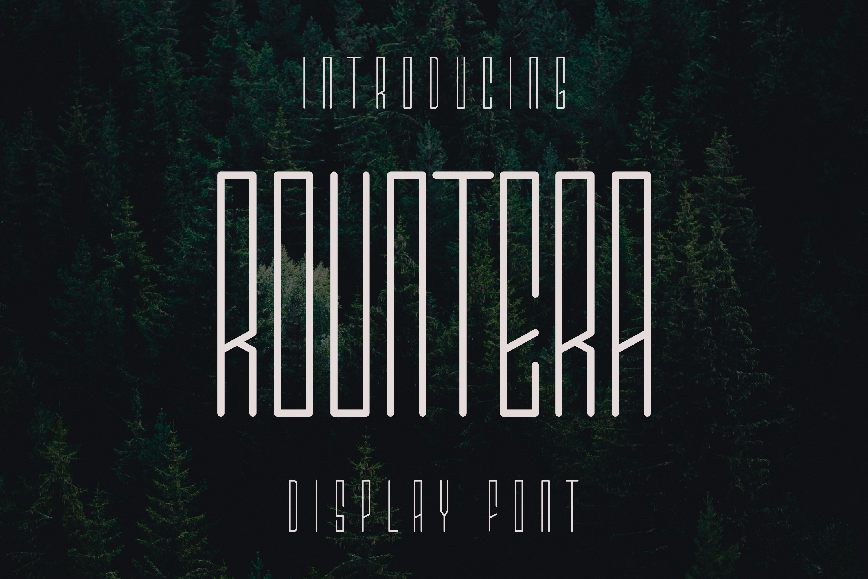 A font that is in the middle of a forest.